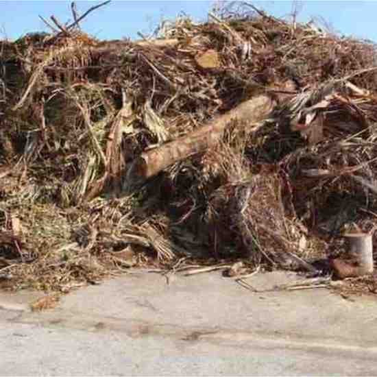 yard waste removal services Davie